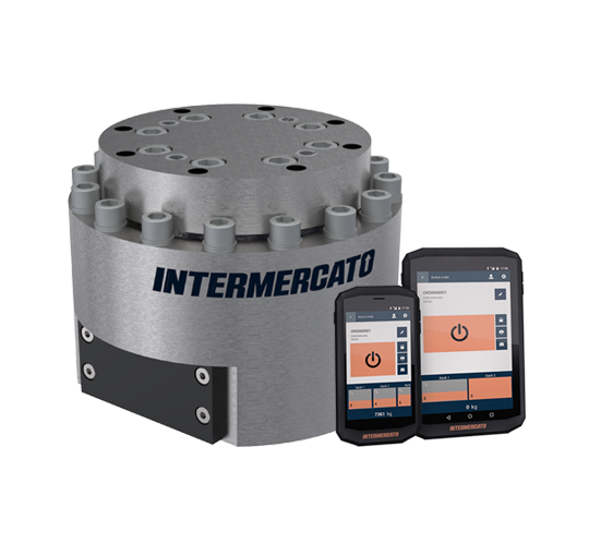 Intermercato Intelligent Weighing Systems Compact FR 10 crane scale