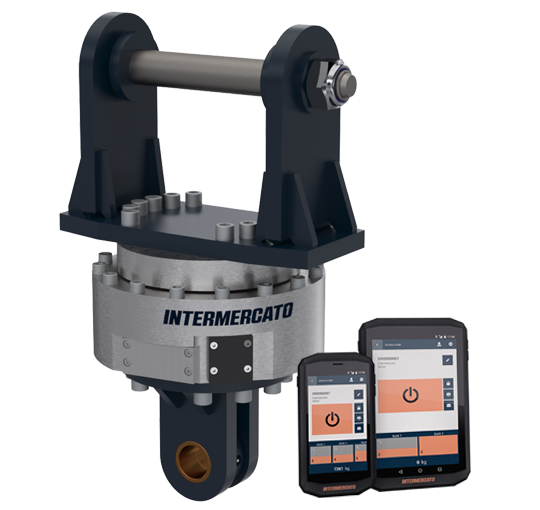 Intermercato Intelligent Weighing Systems Compact MH crane scale